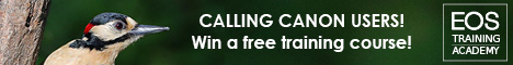 Win a free photo training course...