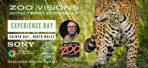Zoo Visions with Terry Donnelly (Experience Day)